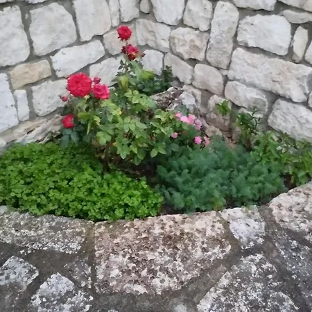 Casa Del Grey * Balchik