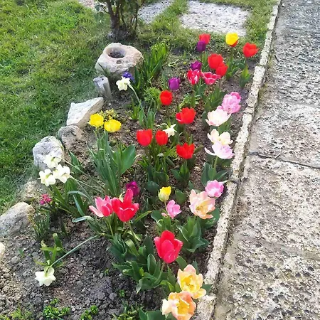 Casa Del Grey * Balchik