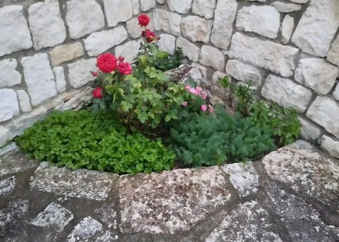 Casa Del Grey * Μπαλτσίκ