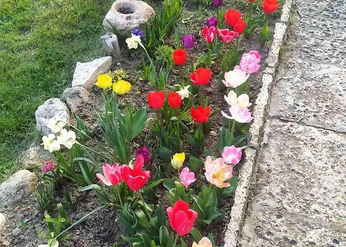 Casa Del Grey * Μπαλτσίκ